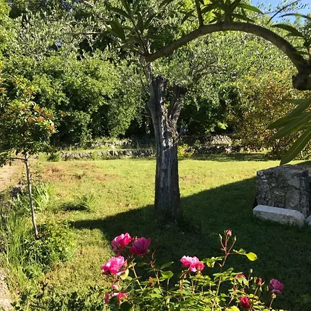 Du Sud *