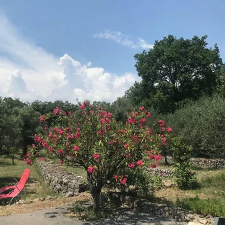 Du Sud * Vence