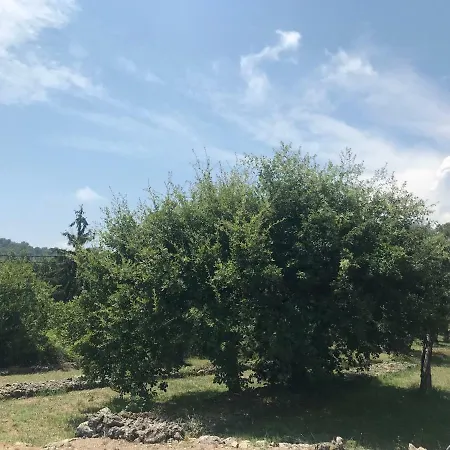 Du Sud Holiday home Vence