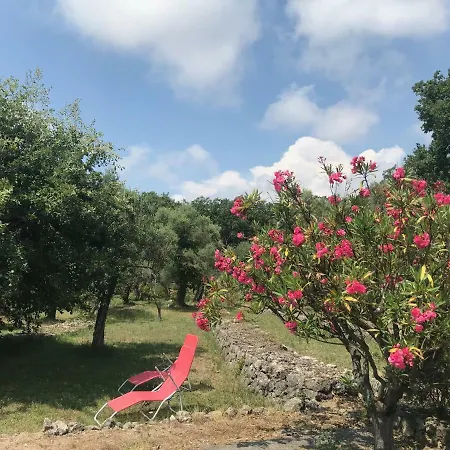 Du Sud * Vence